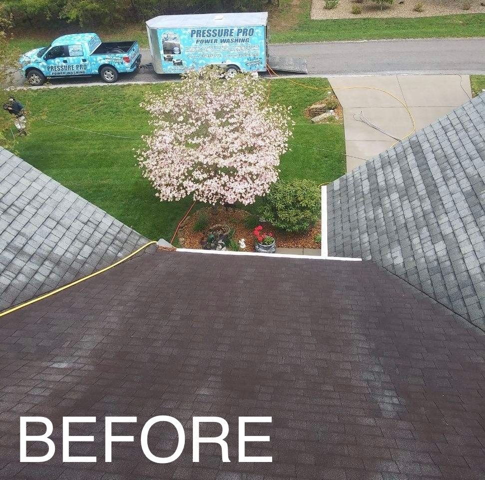 Roof wash before cleaning