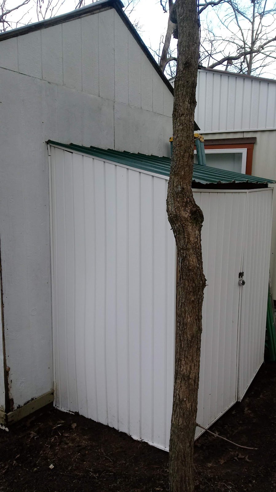 Shed after cleaning