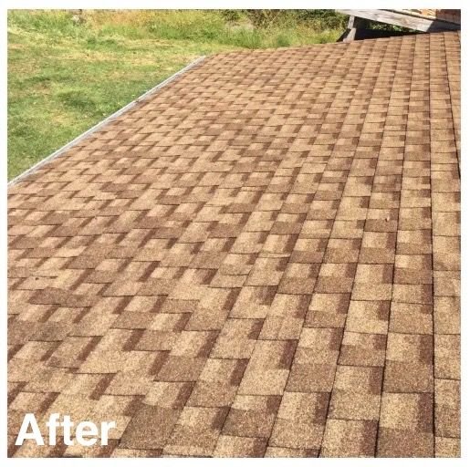 Roof moss removal after cleaning