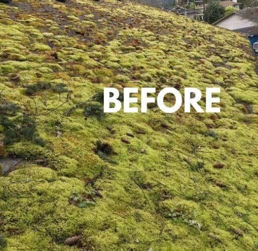 Roof moss removal before cleaning