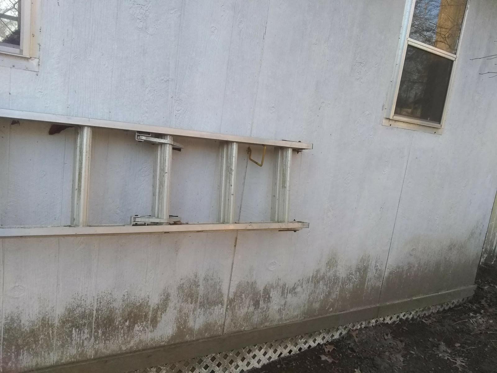 Siding before cleaning