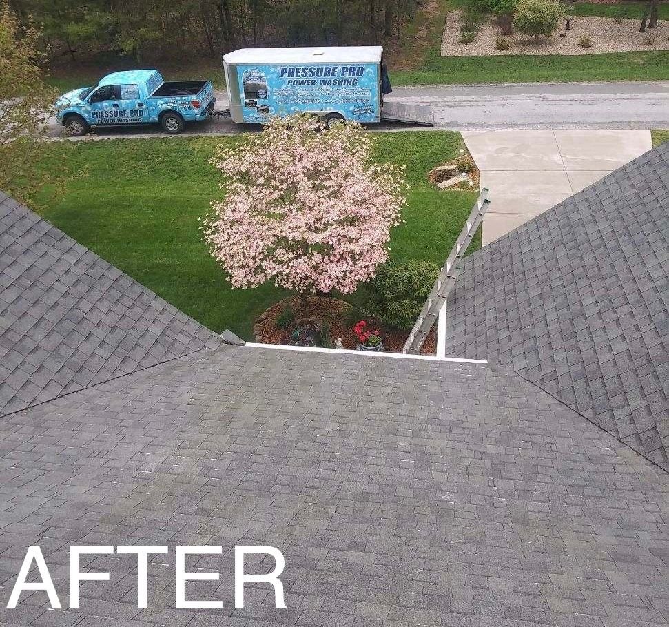 Roof wash after cleaning
